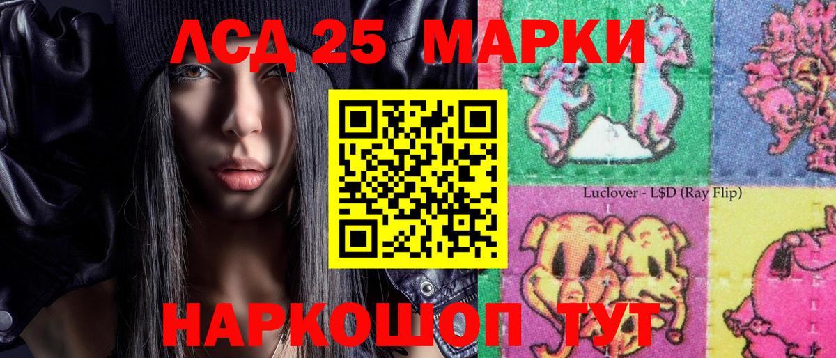 МЕФ Ногинск