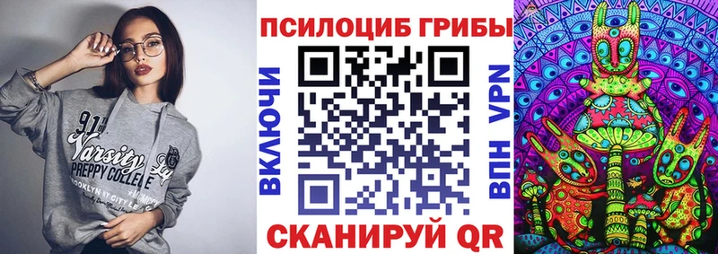 Псилоцибиновые грибы Cubensis  Ногинск 