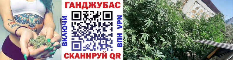 блэк спрут как войти  где можно купить   Ногинск  Канабис гибрид 
