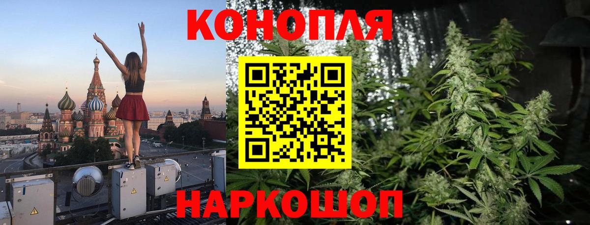 Каннабис OG Kush Ногинск